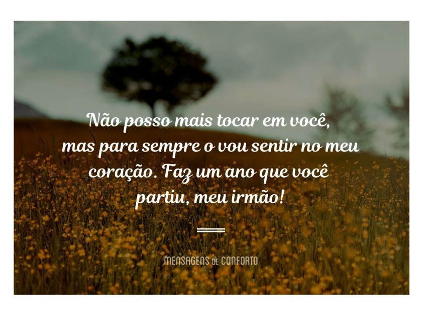 Um ano a sentir meu irmão Mensagens de Conforto